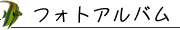 フォトアルバム